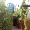 Appartamento Ayaraba,Agadir