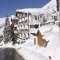 Le Chamois
