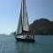 Multishine 38