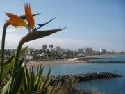 Foto Canarie | 