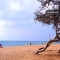 Appartamenti in affitto a Canyamel, Maiorca, Baleari, Spagna