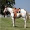 Centro Equestre La Barrosa