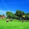 Marriot Golf Son Antem