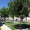 Appartamento Lela, Conil