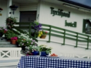  Hotel | Tyrifjord Hotel