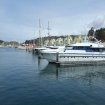 Foto noleggiare | Albufeira