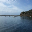 noleggiare | Albufeira