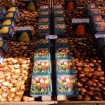 olanda | Amsterdam | Europa
