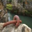 Foto aquitania | Aquitania | Francia