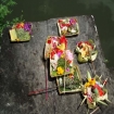 Immagine bali | Bali | Asia