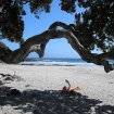 Foto bay of islands | Bay of Islands