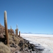 Immagine | Bolivia | America del Sud