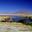 Foto | Bolivia