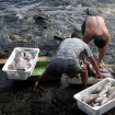 Foto isole canarie | Canarie | Spagna