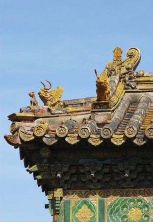 Immagine  | Cina | Asia