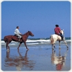 Immagine montare a cavallo | Conil de la Frontera