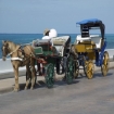 Foto messico | Cozumel | Riviera Maya
