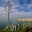 Foto ericeira | Ericeira