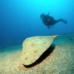 Immagine scuole diving | Gran Canaria