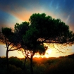 Immagine costa della luce | Isla Cristina | Costa della Luce