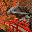 Foto giappone | Giappone | Asia