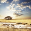 namibia | Namibia | Africa