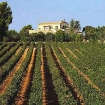 offerte agriturismo | Palma di Maiorca