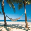rarotonga | Rarotonga | Nuova Zelanda