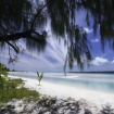 Foto isole cook | Rarotonga | Nuova Zelanda