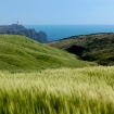 Foto sagres | Sagres