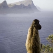 Sudafrica Fare surf lungo le coste del Sudafrica