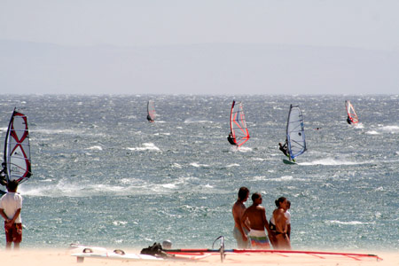 Surfbase, Spin out