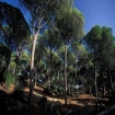Foto trekking | Vejer de la Frontera | Turismo Rurale