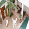 Riad W, modernismo e tradizione