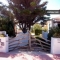 Con terrazza-solarium