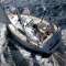 Veliero Copy Cat - Beneteau Oceanis 40