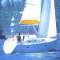 Oceanis 311