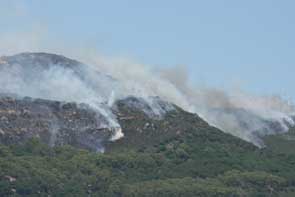 incendio-tarifa-1-5-gallery						
