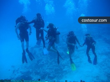 islamarine-buceo-1-1-gallery						