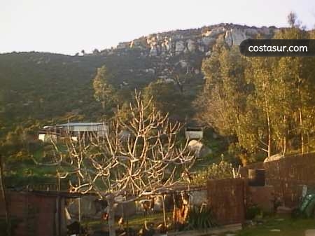 tc0004-2-2-gallery						