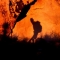 Andalucian-adventure-services Page Link(it)
Andalucian Adventure Services