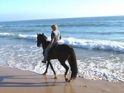 Foto Tarifa | Montare a cavallo