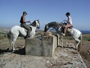 Immagine Tarifa | Montare a cavallo