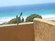 Immagine Tarifa | Appartamento Los Lances
