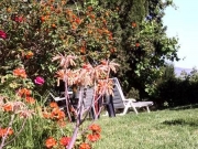 Immagine Tarifa | Con vista allo Stretto, per staccare la spina