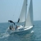 Bavaria 36 Cruiser